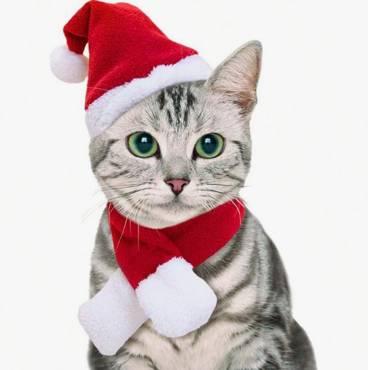 Cat Santa Hat and Scarf - Small Dog Christmas Costume with Red Muffler - Festive Santa Outfit for Cats, Dogs, Rabbits, Statues, and Toys