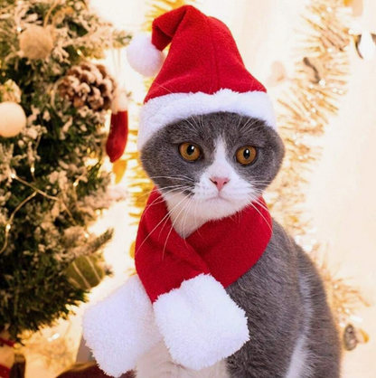 Cat Santa Hat and Scarf - Small Dog Christmas Costume with Red Muffler - Festive Santa Outfit for Cats, Dogs, Rabbits, Statues, and Toys